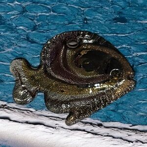 Decorative Glass Fish Pendant - Black, Purple and Gold
